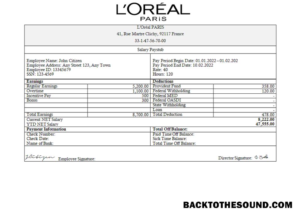 İndir Fransa Loreal Paris cosmetic distributing Şirket Örnek taslak