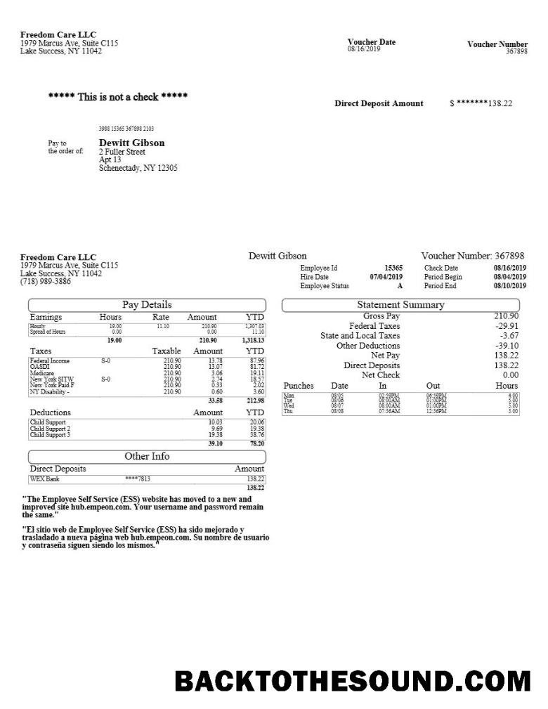 İndir Freedom Care LLC pay stub in Word and PDF Formatlar.PDF, 1 Örnek taslak