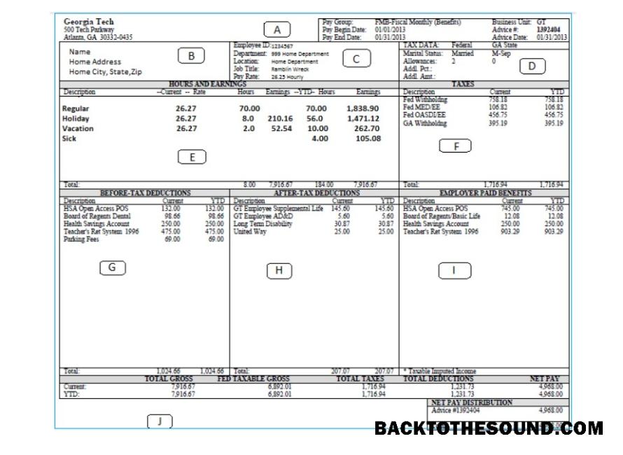İndir Gürcistan TECH pay stub Word and PDF Örnek şablon