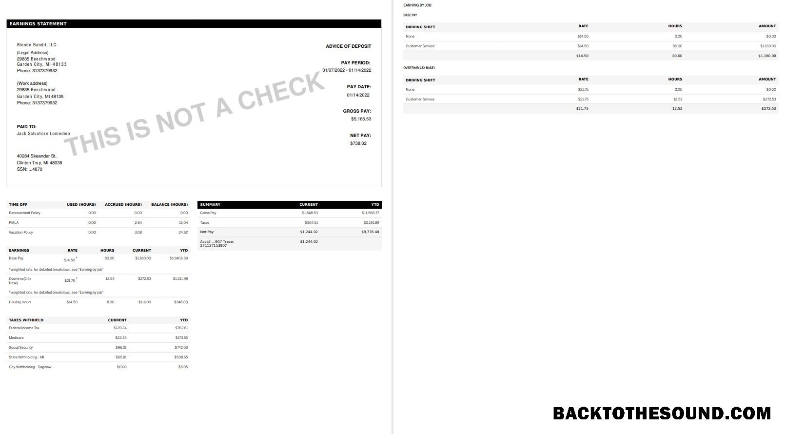 İndir GOLDEN LIMOUSINE pay stub in PDF and Words Format Örnek tasarım