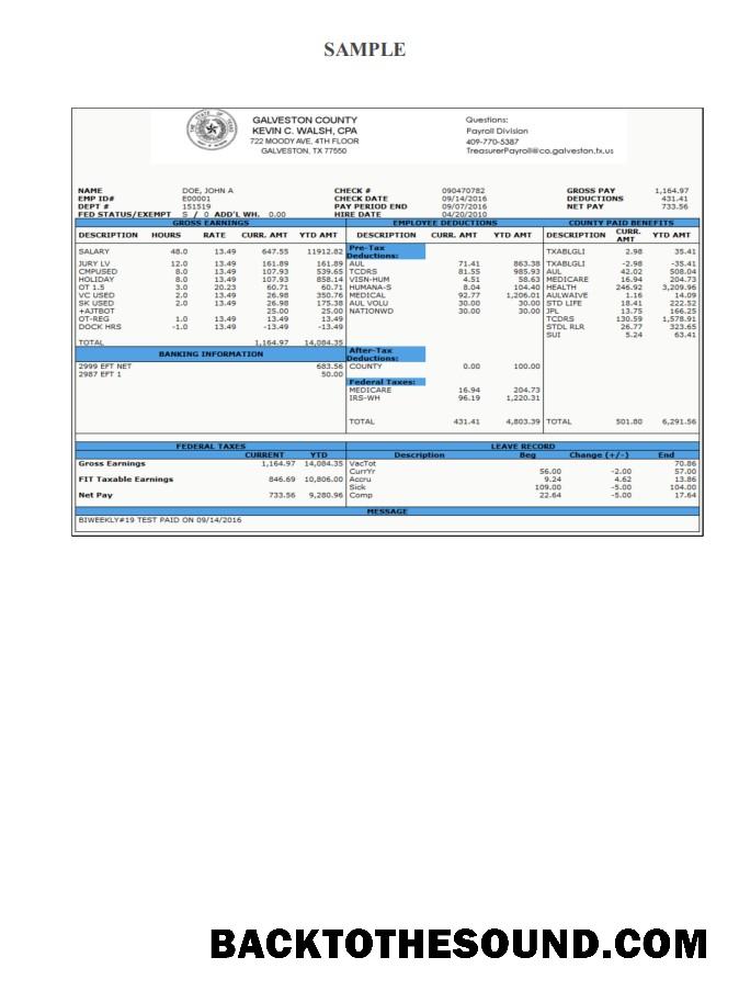 İndir Galveston County Payroll Check Stub Örnek ön izleme
