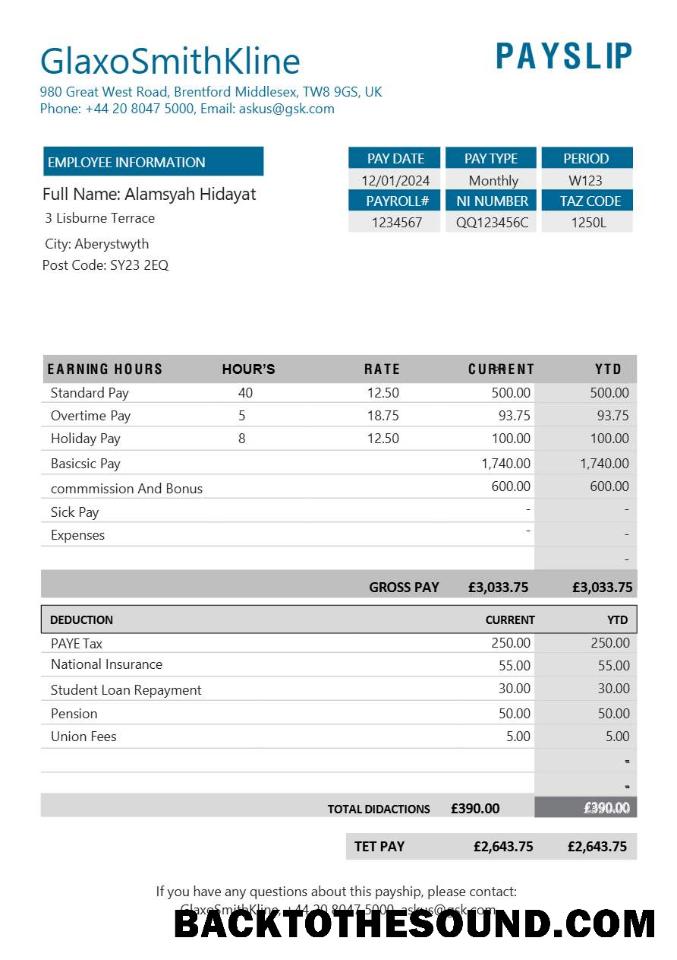 İndir GlaxoSmithKline pharmaceutical Şirket payslip in Word and PDF Formatlar.PDF, 1 Örnek tasarım