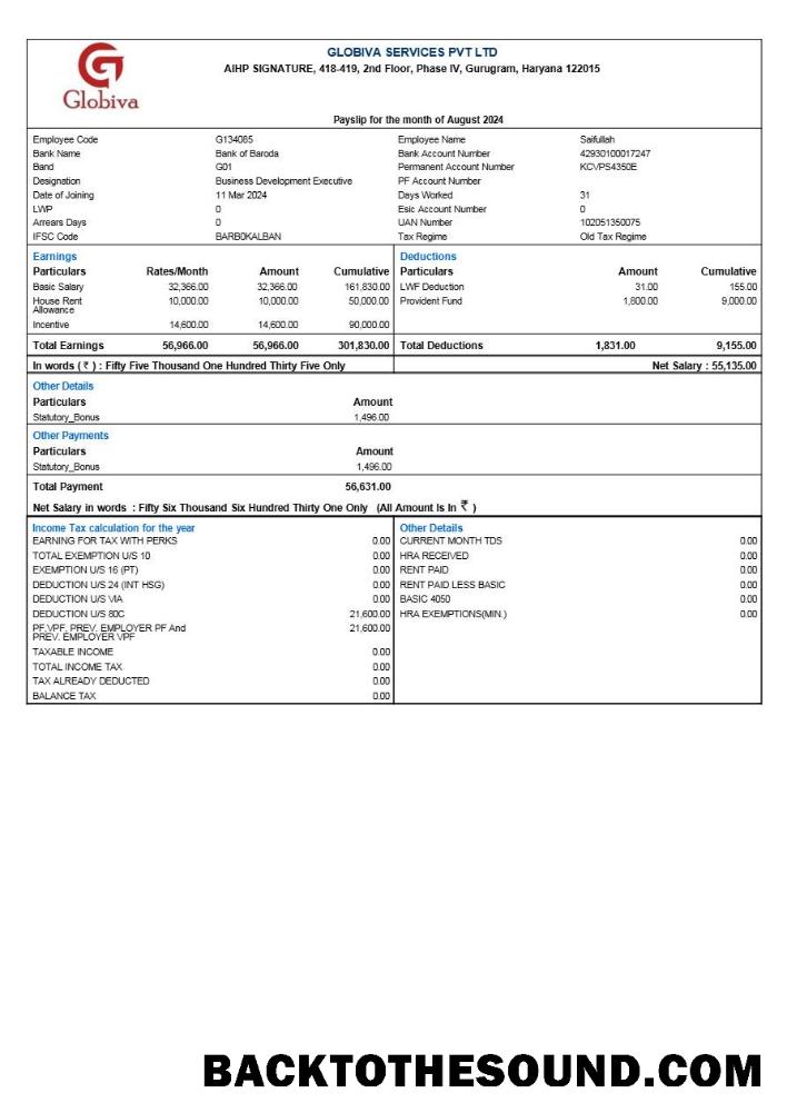 İndir Globiva Services payslip in Word and PDF Formatlar.PDF, 1 Örnek örnek