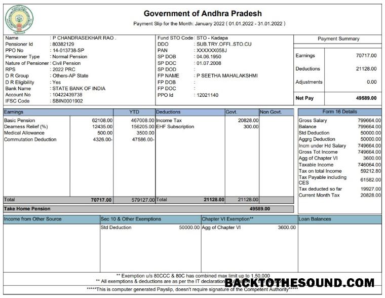 İndir Government of Andhra Pradesh Paystub Örnek şablon