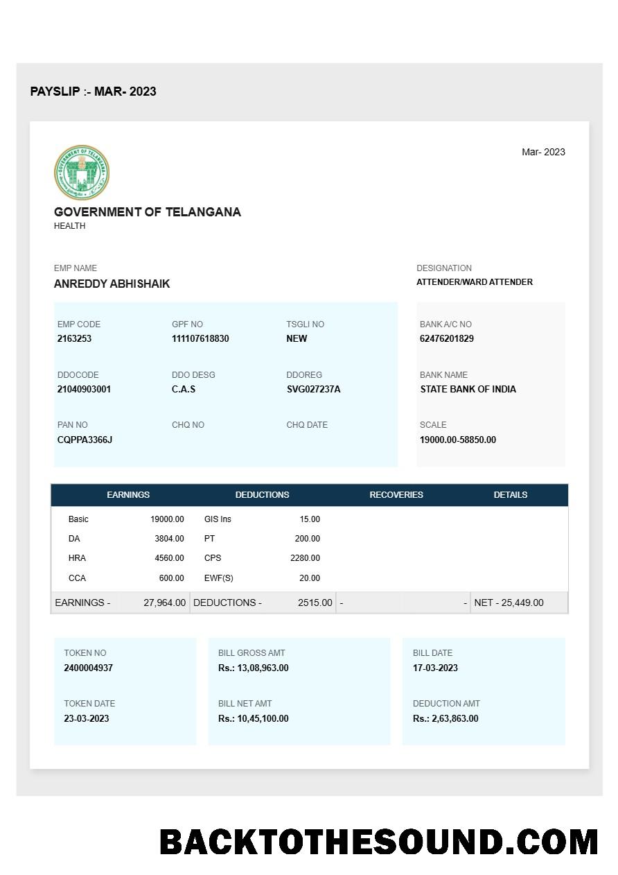 İndir Government of Telangana payslip in Word and PDF Formatlar.PDF, 1 Örnek ön izleme