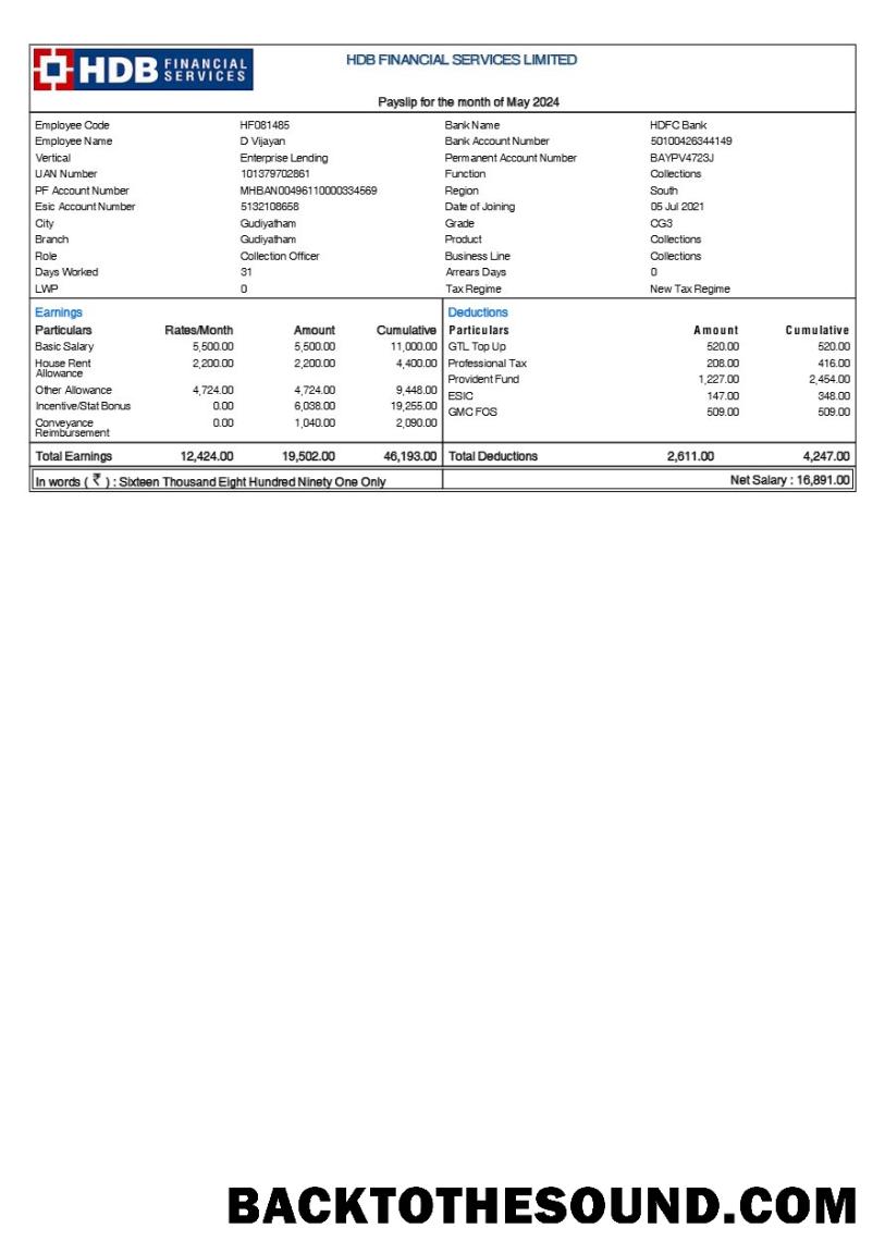 İndir HDB Financial Services payslip in Word and PDF Formatlar.PDF, 1 Örnek ön izleme