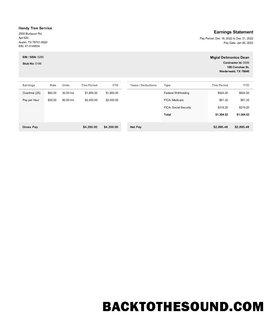 İndir Handy Tree Hizmet earnings Hesap Özeti in Word and PDF Formatlar.PDF, 1 Örnek ön izleme