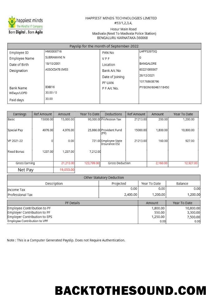 İndir Happiest Minds Technologies payslip in Word and PDF Formatlar.PDF, 1 Örnek tasarım