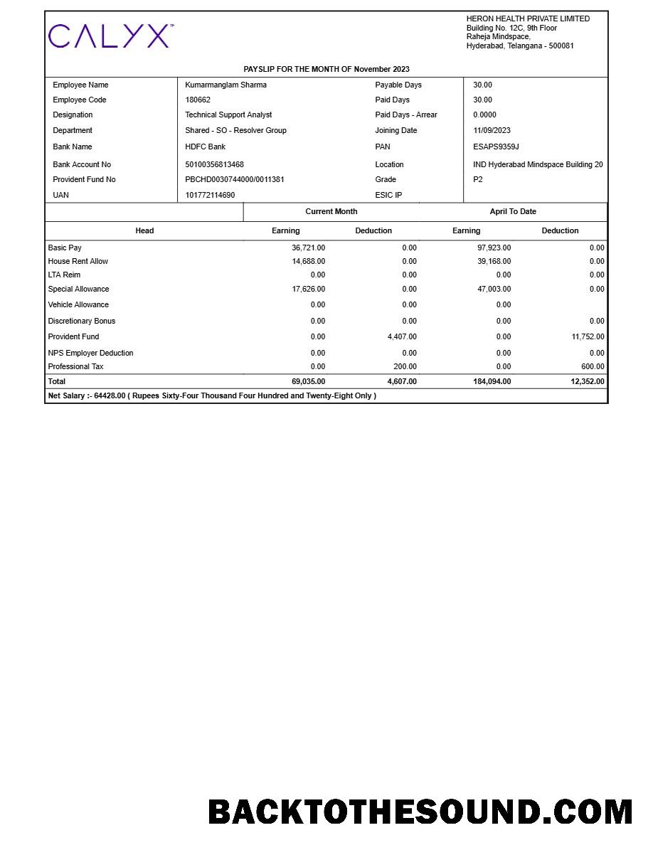İndir Heron Sağlık payslip in Word and PDF Formatlar.PDF, 1 Örnek tasarım