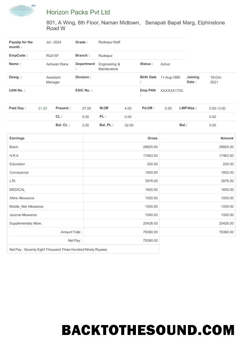 İndir Horizon Packs payslip in Word and PDF Formatlar.PDF, 1 Örnek örnek