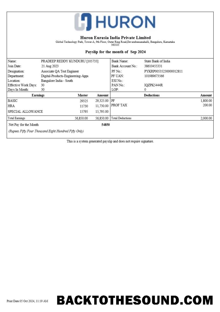 İndir Huron Eurasia Hindistan payslip in Word and PDF Formatlar.PDF, 1 Örnek taslak