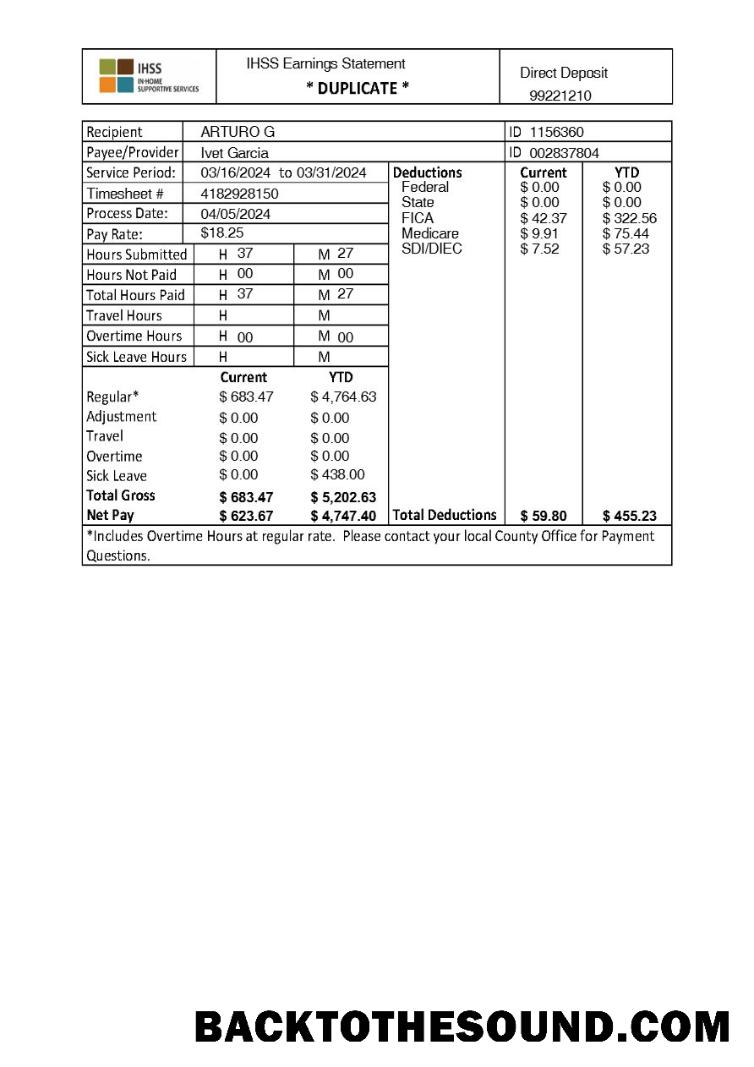 İndir IHSS In Home Supportive Services earnings Hesap Özeti in Word and PDF Formatlar.PDF, 1 Örnek taslak
