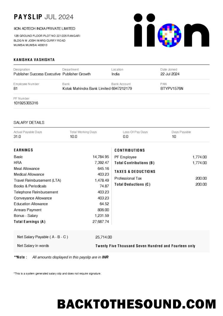 İndir IION Adtech Hindistan payslip in Word and PDF Formatlar.PDF, 1 Örnek örnek