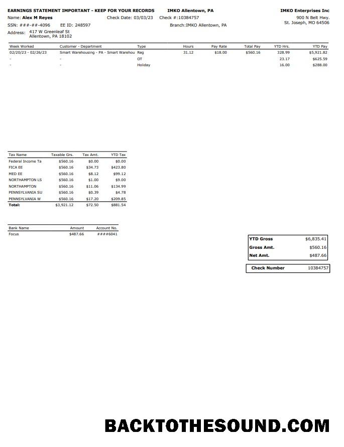 İndir IMKO Enterprises Inc PayStub Örnek tasarım