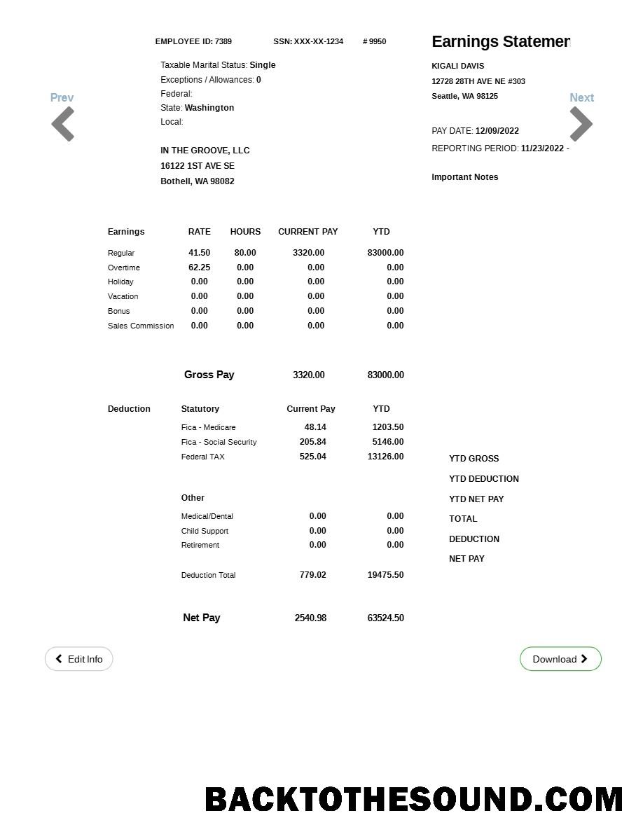 İndir IN THE GROOVE, LLC earnings Hesap Özeti in Word and PDF Formatlar.PDF, 1 Örnek ön izleme