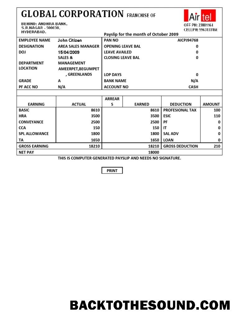 İndir Hindistan AIRTEL multinational telecommunications services Şirket payslip in Word and PDF Formatlar Örnek tasarım