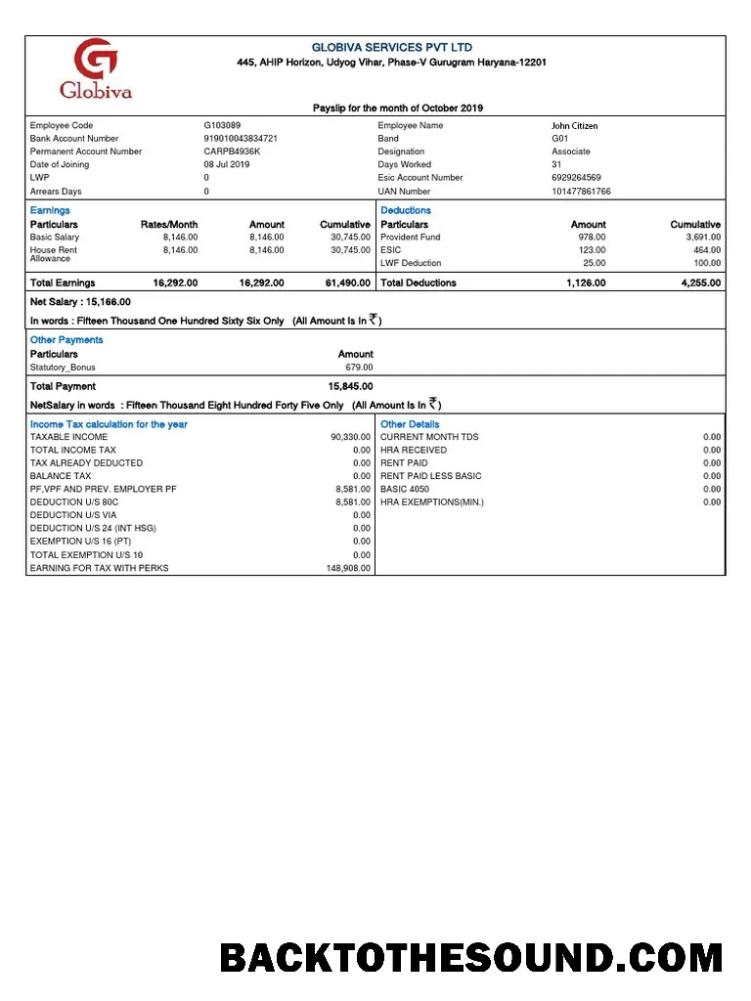 İndir Hindistan GLOBIVA Services PVT LTD payslip in Word and PDF Formatlar Örnek ön izleme
