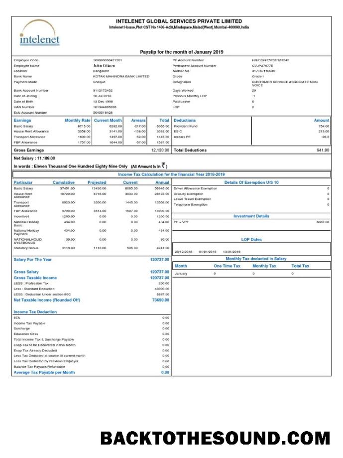 İndir Hindistan INTELENET Global Services Limited payslip in Word and PDF Formatlar Örnek ön izleme