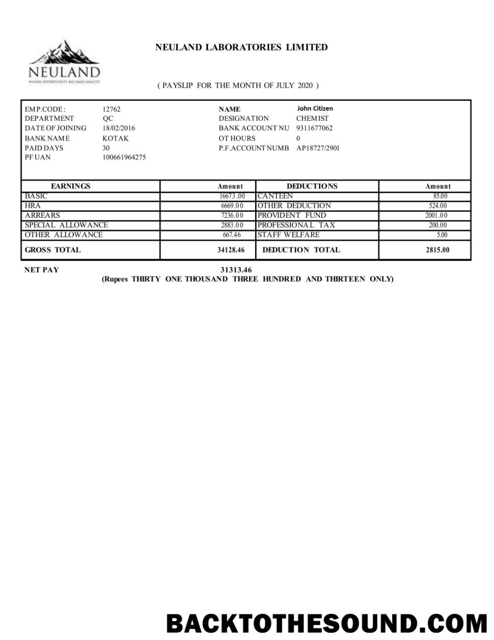 İndir Hindistan NEULAND Laboratories Limited in Word and PDF Formatlar Örnek tasarım