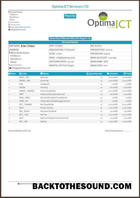 İndir Hindistan OPTIMA ICT Services LTD payslip in Word and PDF Formatlar Örnek şablon