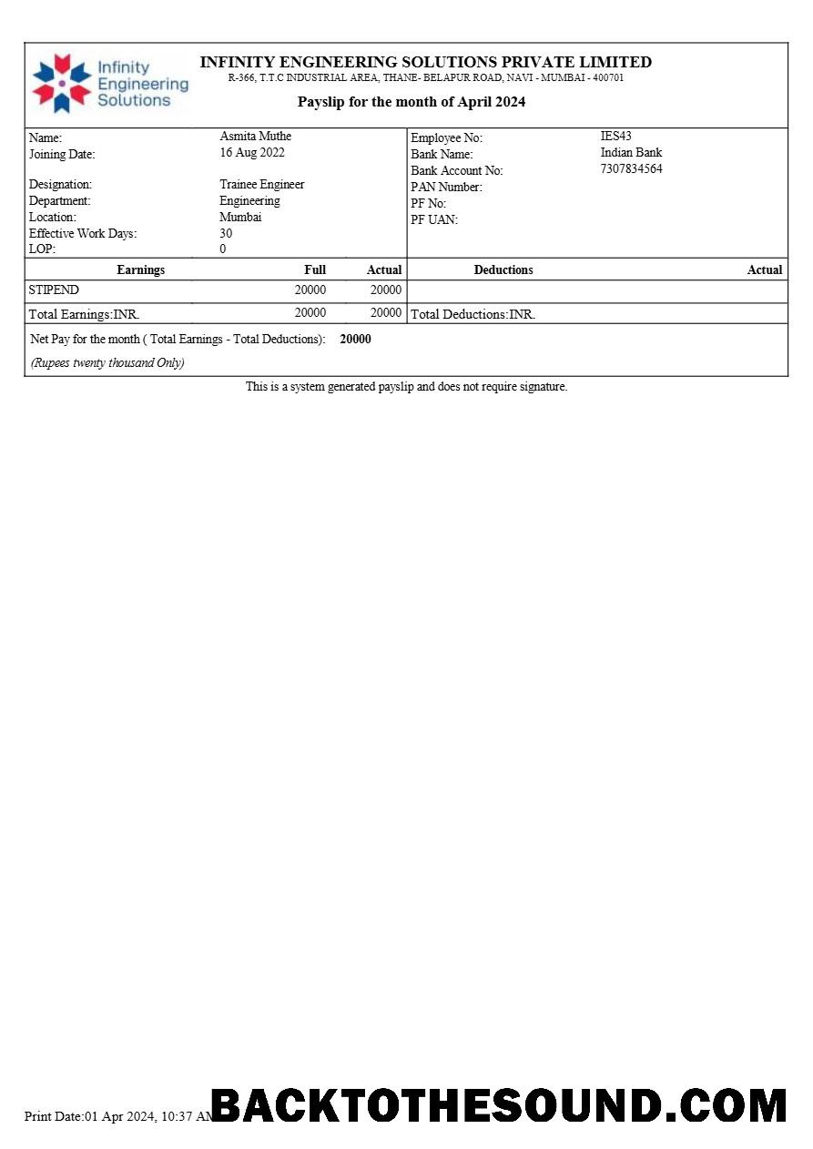 İndir Infinity mühendislik Solutions payslip in Word and PDF Formatlar.PDF, 1 Örnek ön izleme