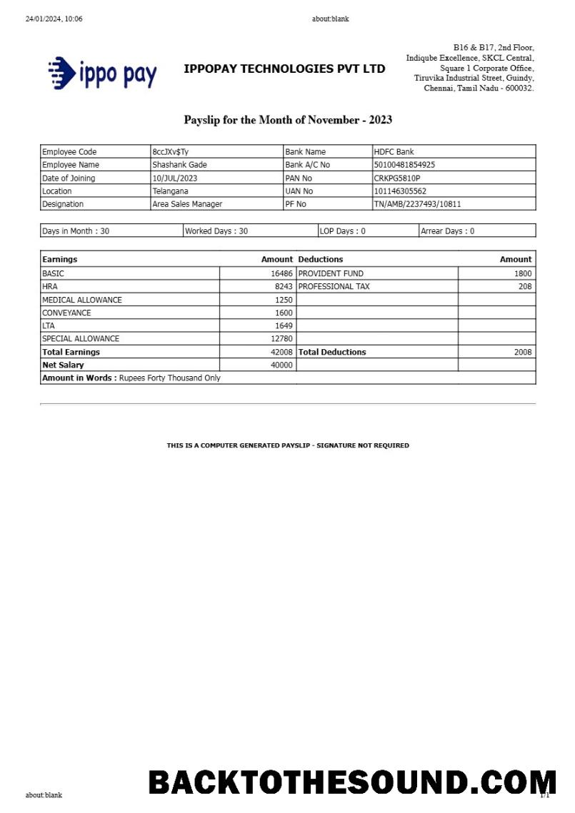 İndir IppoPay Technologies payslip in Word and PDF Formatlar.PDF, 1 Örnek tasarım