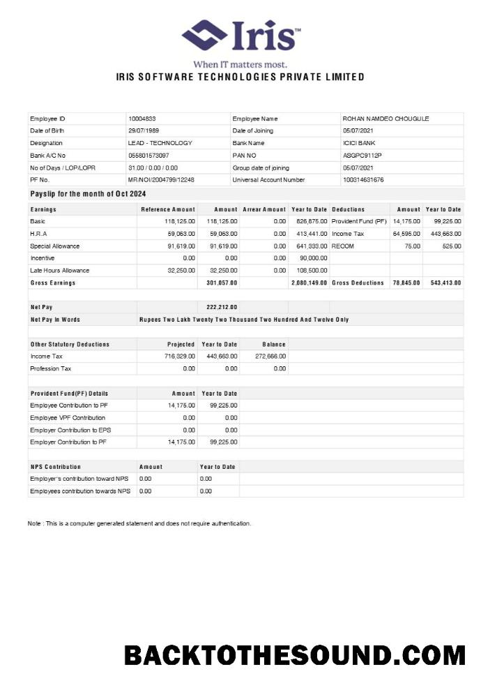 İndir Iris Yazılım Technologies payslip in Word and PDF Formatlar.PDF, 1 Örnek taslak