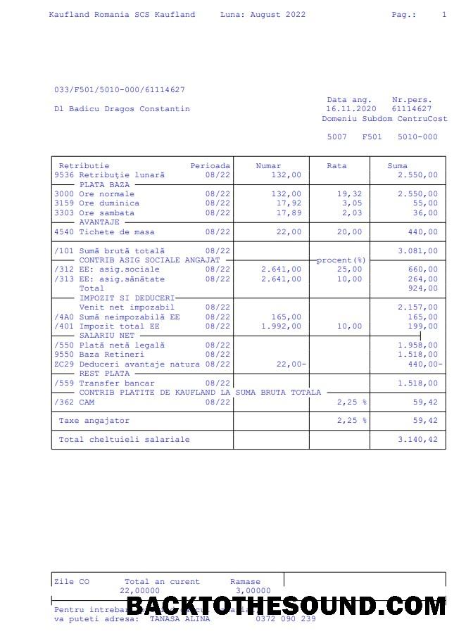 İndir Kaufland Romanya SCS Paystub Örnek tasarım