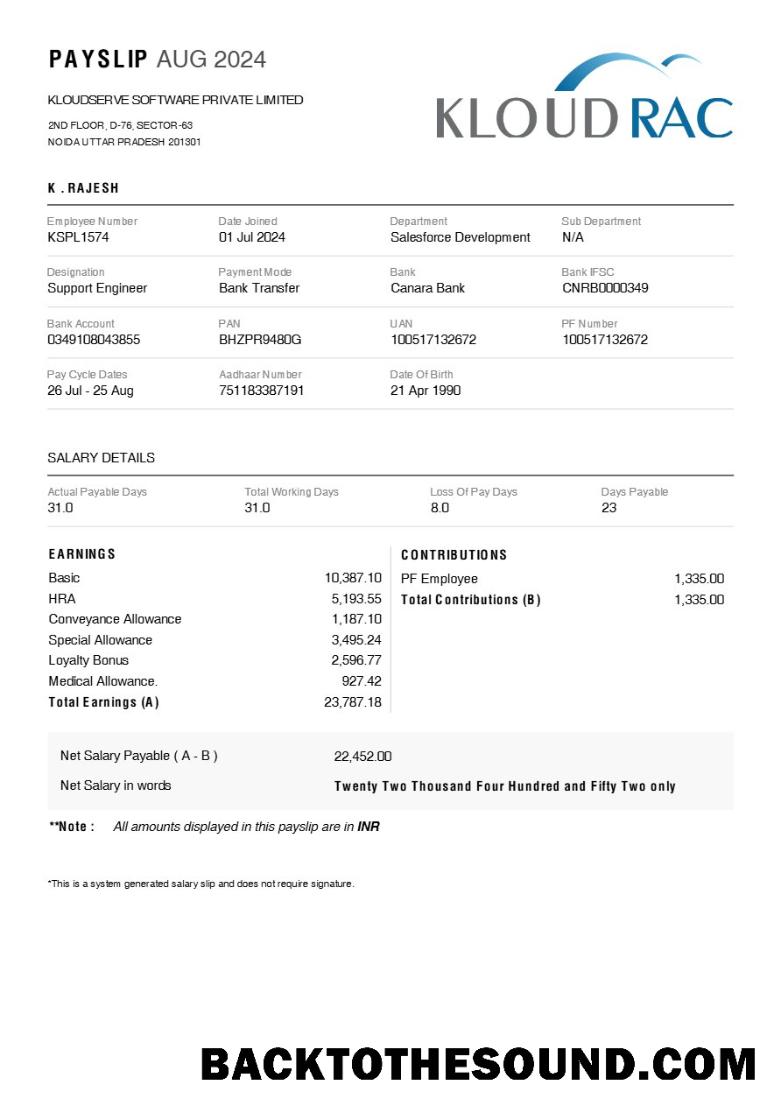 İndir Kloudserve Yazılım payslip in Word and PDF Formatlar.PDF, 1 Örnek tasarım