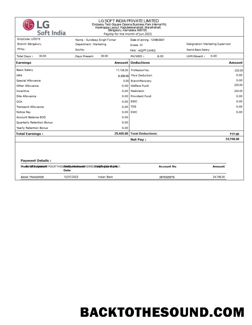 İndir LG Soft Hindistan payslip in Word and PDF Formatlar.PDF, 1 Örnek taslak