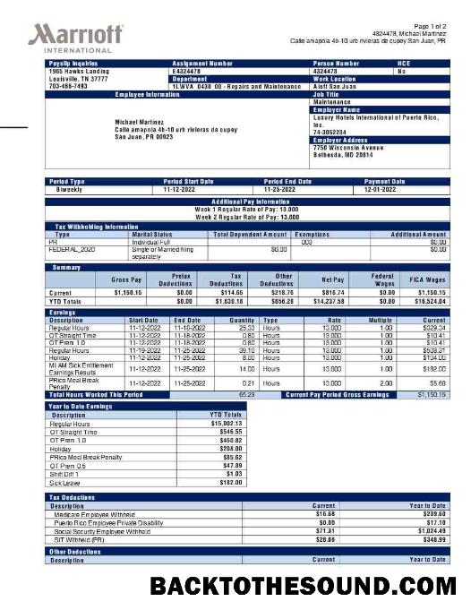 İndir Marriott uluslararası payslip in Word and PDF Formatlar.PDF, 1 Örnek taslak