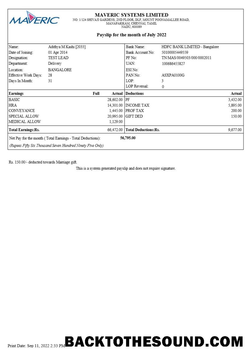 İndir Maveric Systems mühendislik Şirket payslip in Word and PDF Formatlar.PDF, 1 Örnek şablon