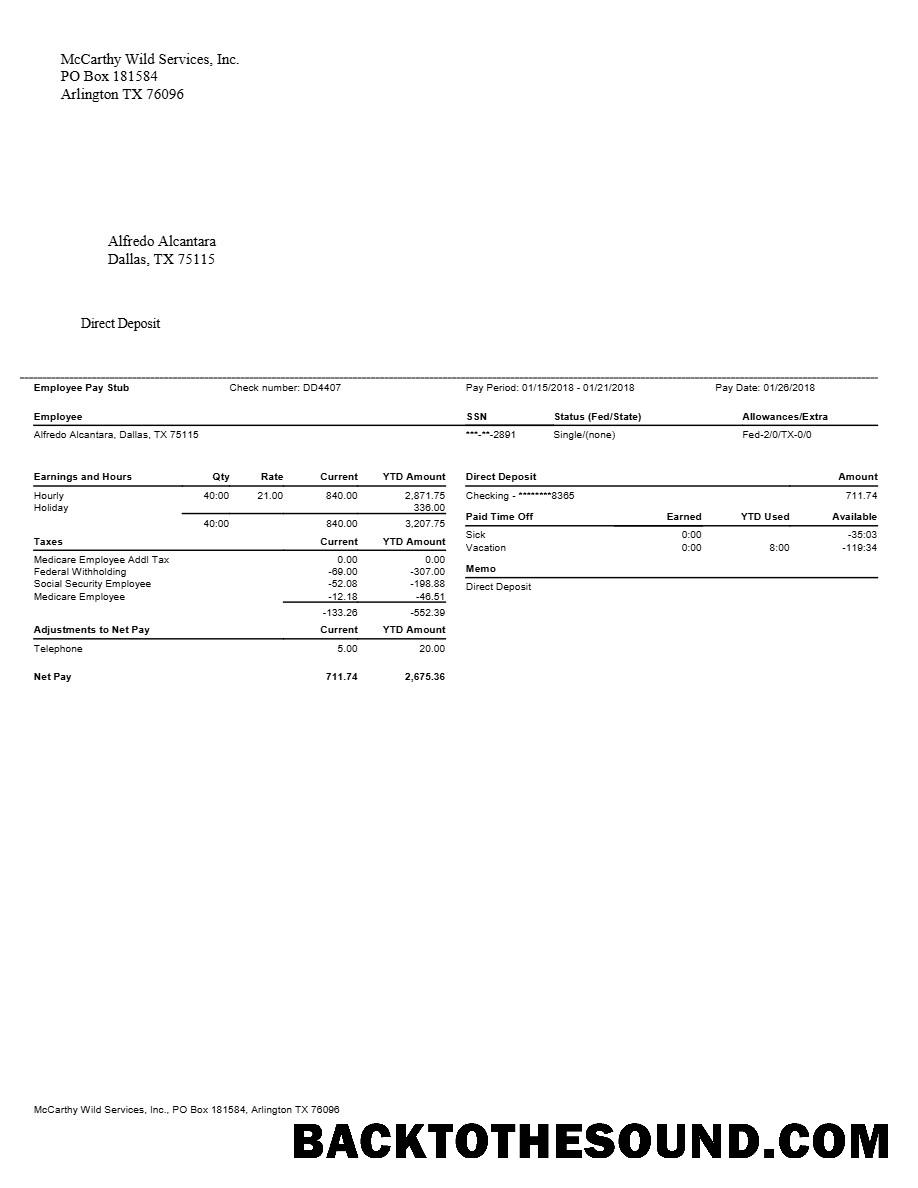 İndir McCarthy Wild Services, Inc․ pay stubs in Word and PDF Formatlar.PDF, 1 Örnek ön izleme