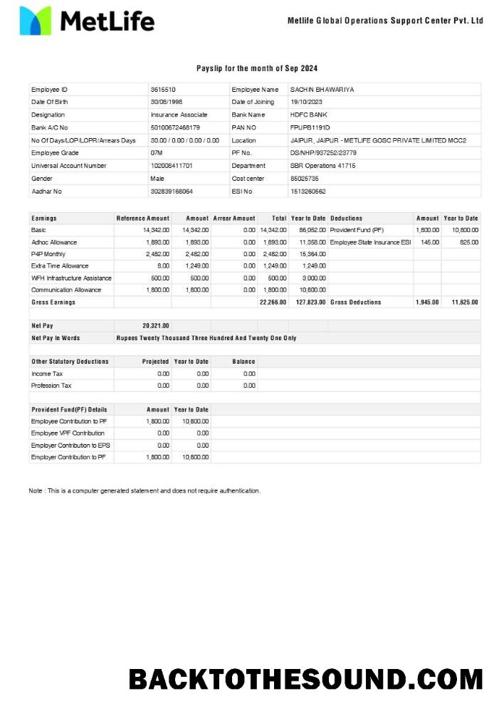 İndir Metlife Global Operations Destek Center payslip in Word and PDF Formatlar.PDF, 1 Örnek tasarım