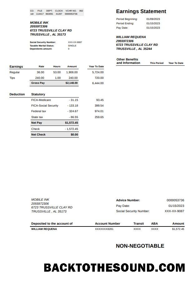 İndir Mobie Mürekkep earnings Hesap Özeti Örnek örnek