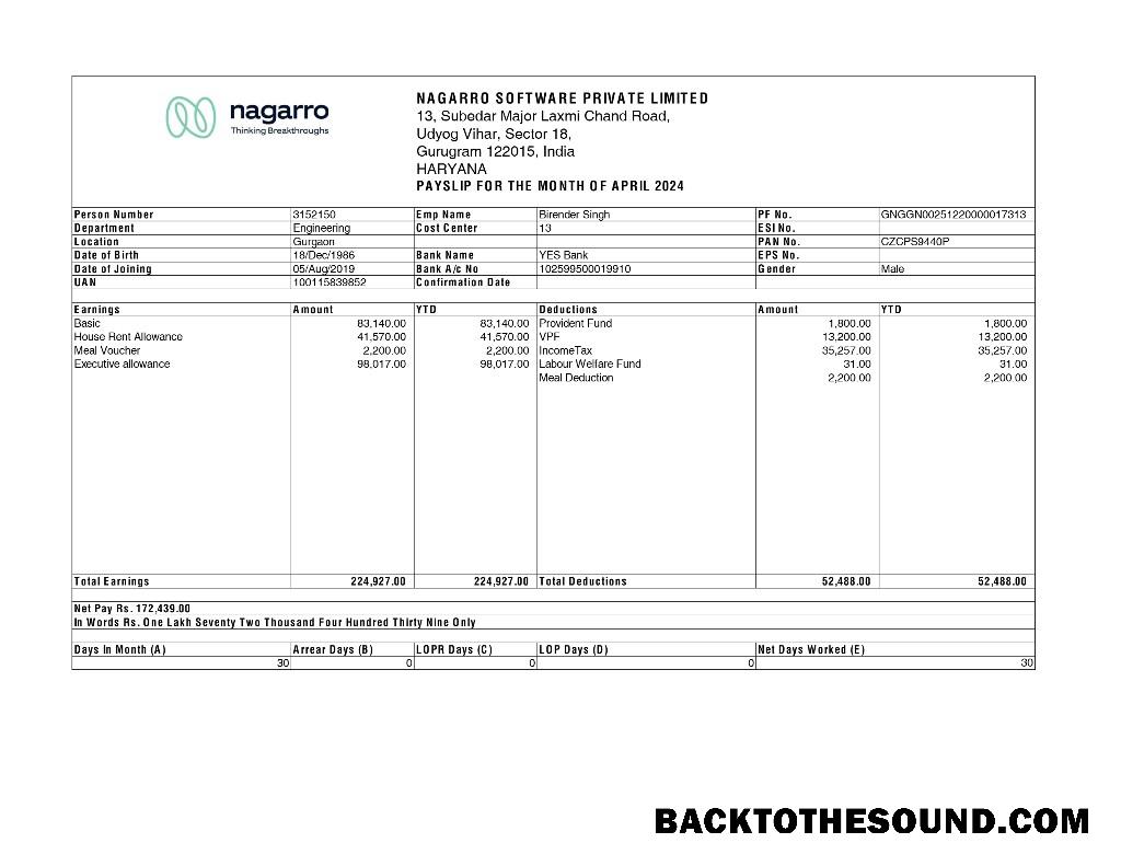 İndir Nagarro Yazılım payslip in Word and PDF Formatlar.PDF, 1 Örnek şablon