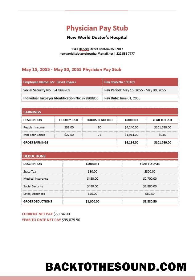 İndir Yeni World Doctor’s Hospital Physician Pay Stub in PDF and Word Formatlar Örnek taslak