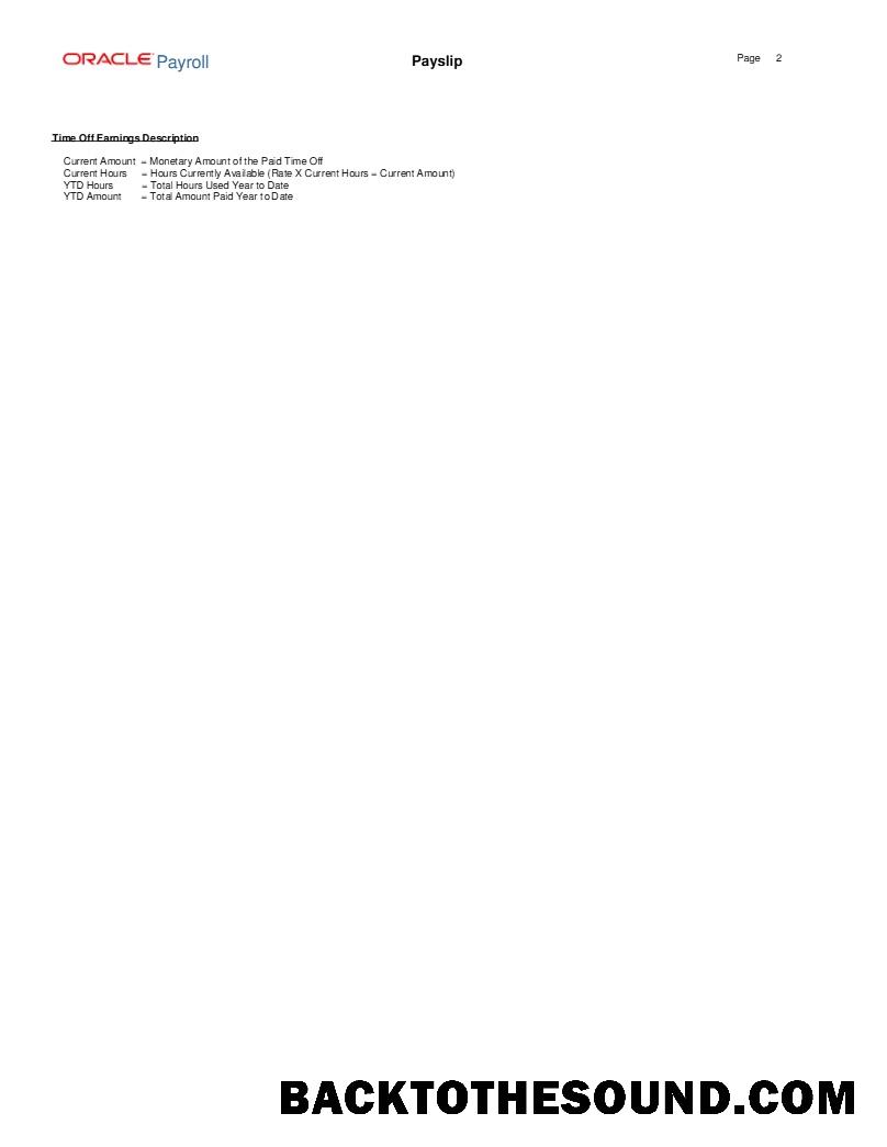 İndir Oracle Payroll Advantage Satışlar & Pazarlama LLC payslip in Word and PDF Formatlar.PDF, 2 Örnek şablon