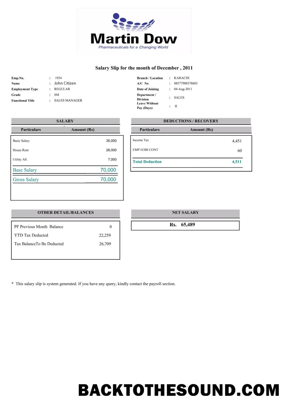 İndir Pakistan MARTIN Dow paystlip in Word and PDF Formatlar Örnek örnek