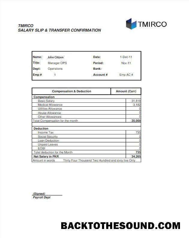 İndir Pakistan TMIRCO Şirket earning statemetn in Word and PDF Formatlar Örnek ön izleme