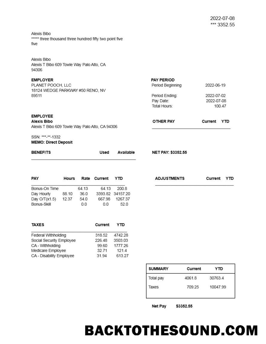 İndir PLANET POOCH, LLC earnings Hesap Özeti in Word and PDF Formatlar.PDF, 1 Örnek örnek