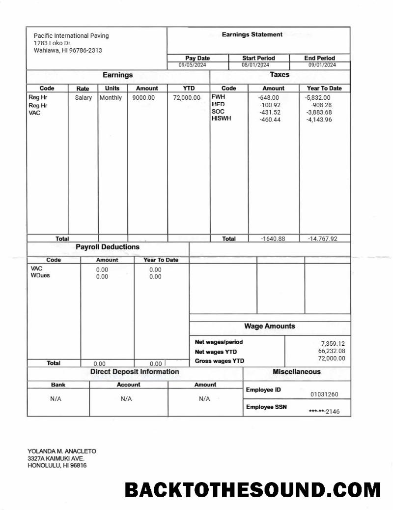 İndir Pacific uluslararası Paving earnings Hesap Özeti in Word and PDF Formatlar.PDF, 1 Örnek tasarım