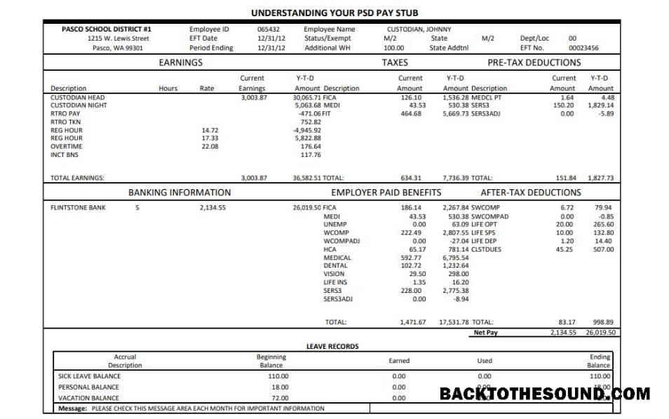İndir Pasco okul district pay stub Word and PDF Örnek şablon