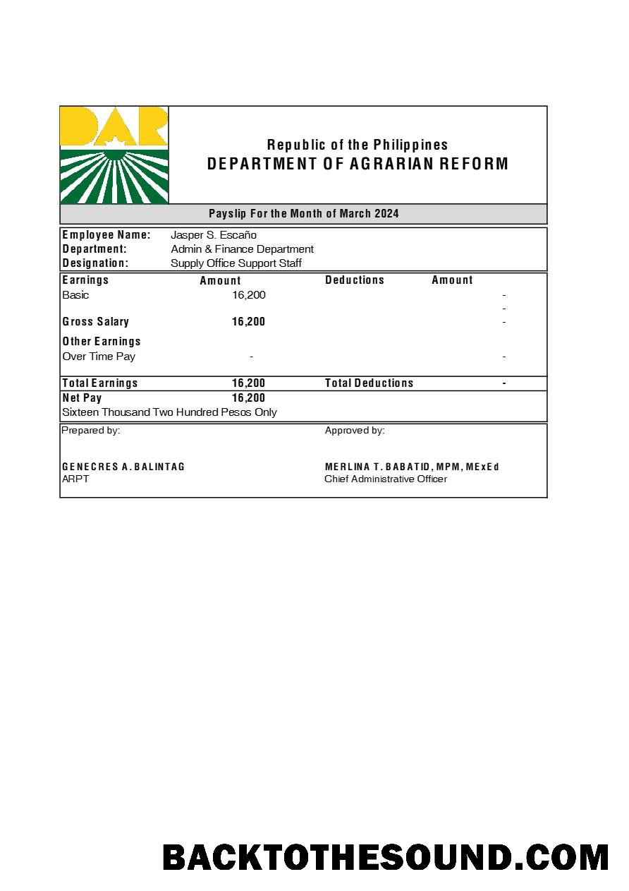 İndir Filipinler Department of Agrarian Reform payslip in Excel and PDF Formatlar.PDF, 1 Örnek şablon