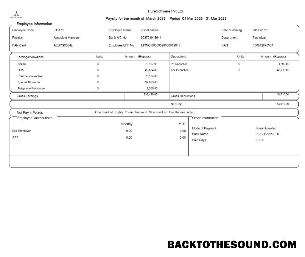 İndir PureSoftware payslip in Word and PDF Formatlar.PDF, 1 Örnek tasarım