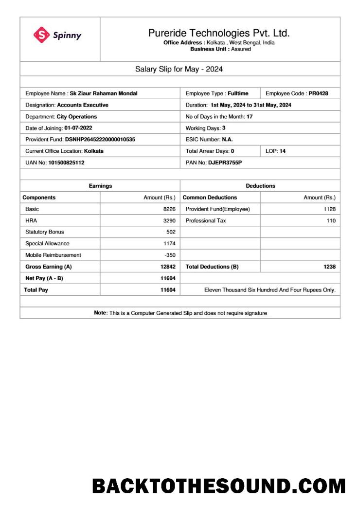 İndir Pureride Technologies salary slip in Word and PDF Formatlar.PDF, 1 Örnek örnek