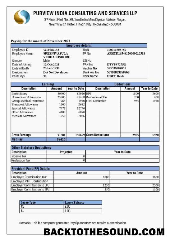 İndir Purview Hindistan Consulting and Services payslip in Word and PDF Formatlar.PDF, 1 Örnek şablon