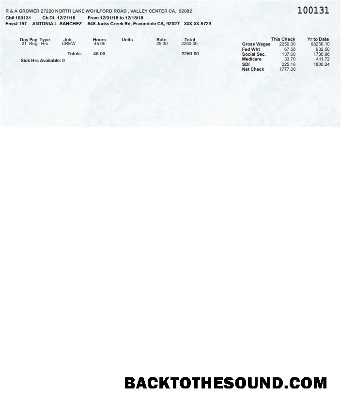 İndir R & A Grower pay stub in PDF and Word Formatlar Örnek şablon