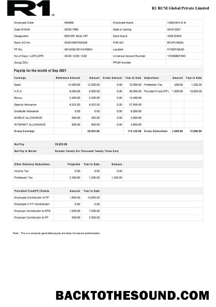 İndir R1 RCM Global Pvt Ltd payslip in Word and PDF Formatlar.PDF, 1 Örnek ön izleme