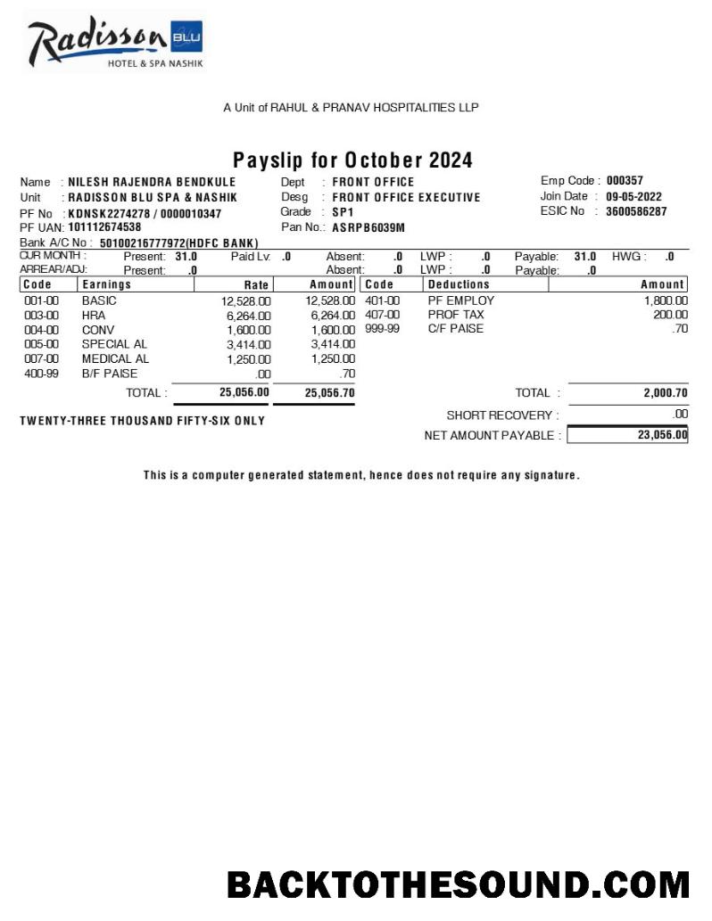 İndir Radisson Blu Hotel & Spa payslip in Word and PDF Formatlar.PDF, 1 Örnek ön izleme